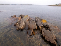 Port Union, Nowa Fundlandia